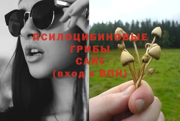 бошки Медвежьегорск