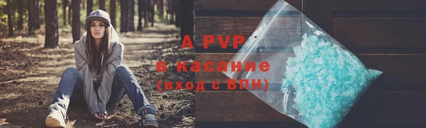 ECSTASY Михайлов